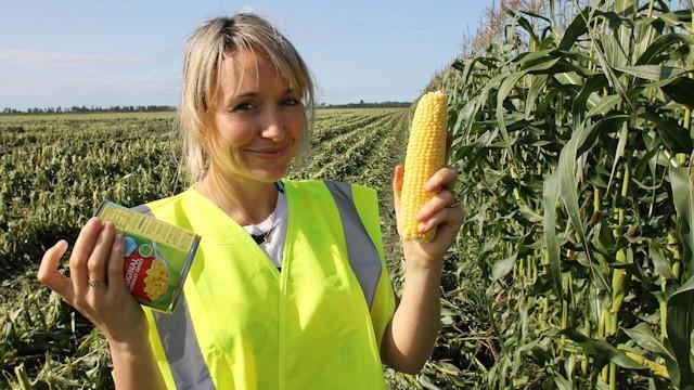 Food Unwrapped Goes Veggie