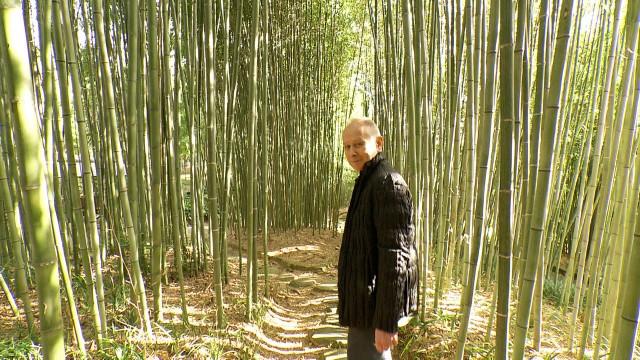 Bamboo