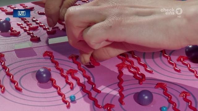 Laser|    Zwei-Minuten-Märchen: Der Lebkuchen-Junge|   Lebkuchen|    Käpt’n Blaubär: Herrscher der W