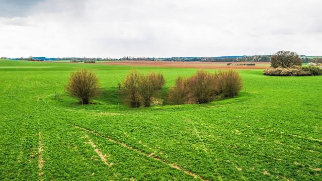 Obnova krajiny domova