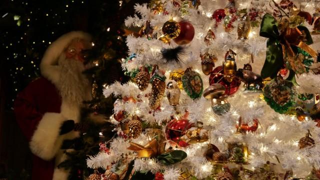 Alle Jahre wieder - Die Wahrheit über Weihnachten