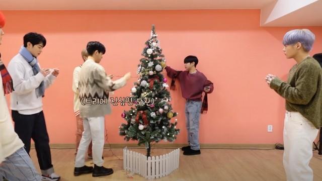 Making the Christmas Tree