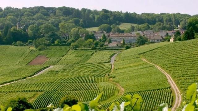 La Champagne, territoire d'histoire et de vignobles