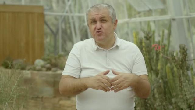 Nada é Como Parece