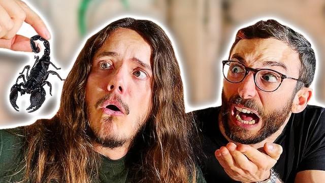 SCORPIONE GIGANTE VELENOSO! - Puoi Mangiarlo 2 | Ep.4 w/ Human Safari