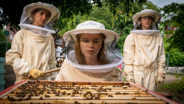 Bienenmord