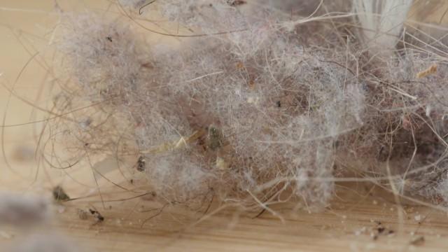 Et si la poussière n’existait pas ?