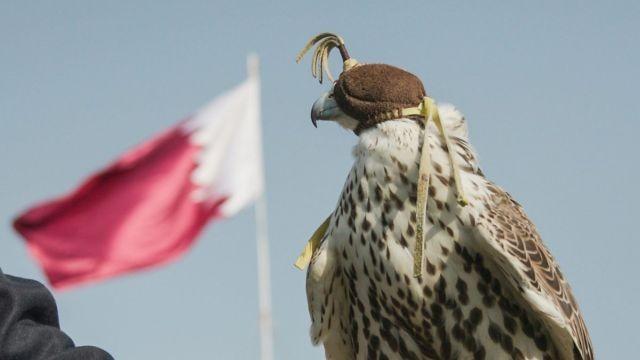 Qatar - The Road to the World Cup