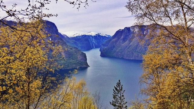 Magie der Fjorde