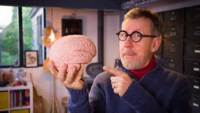 Quand notre cerveau nous joue des tours !