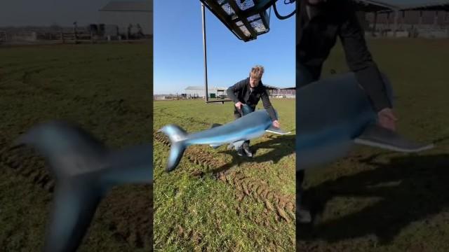 Making Midrolls more interesting