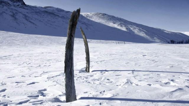 Riddle of Whale Bone Alley