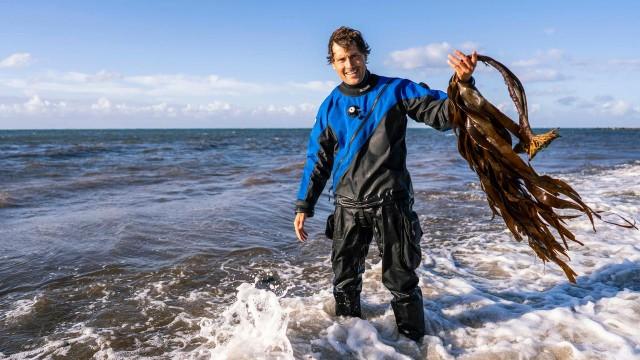 Faszination Wasser (3): Stürmische Nordsee