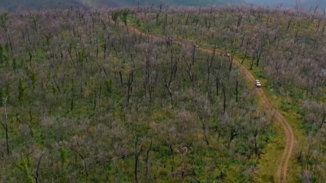 Cross-County Victoria (2)