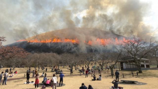 伊豆半島 春のマイウェイ