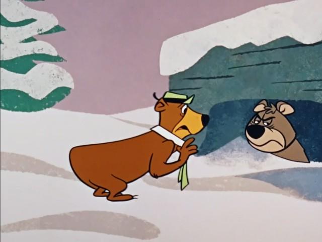 Un orso anticonformista