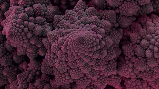 Fisicast #108 - Padrões da Natureza