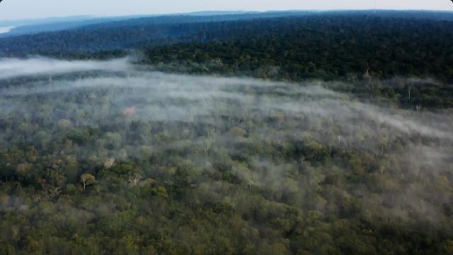 アマゾンの“空飛ぶ川” 見えてきた地球規模の水循環