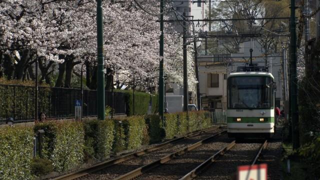 選「都電荒川線」