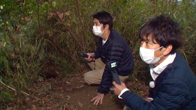 府中の雑木林ラブストーリーまさか343日かかるとは