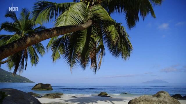 Die Seychellen - Afrika mit Südsee-Ambiente