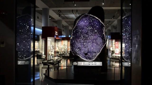 American Museum of Natural History