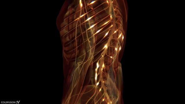 New Tech Makes Paralyzed Man Walk Again