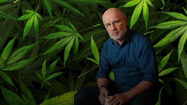 Cannabis - Zwischen Horror und Heilung