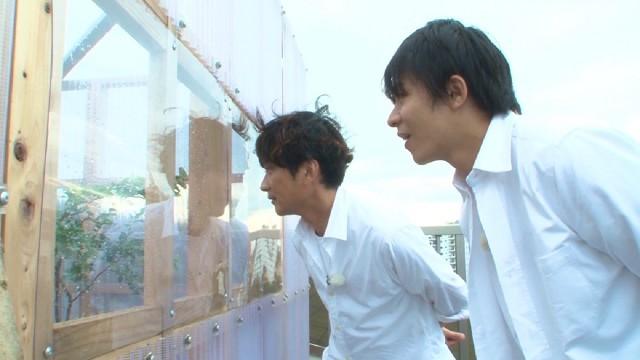 激闘5年ハチミツ計画が完結…屋上にミツバチがやってきた