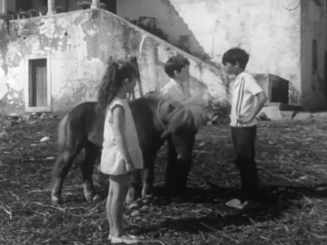 Poly rencontre un ami - Poly decouvre un vagabond