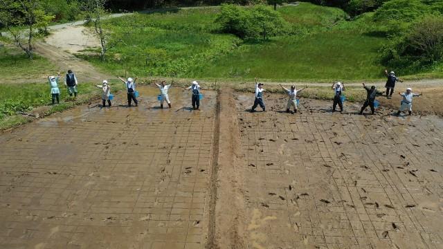22度目の米作り…今年も美味しいお米を