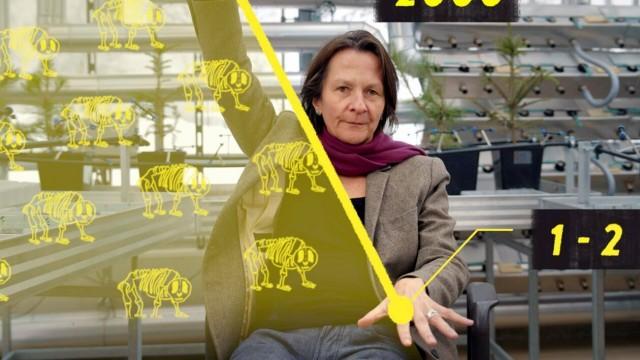 Could We Live Without Agriculture?