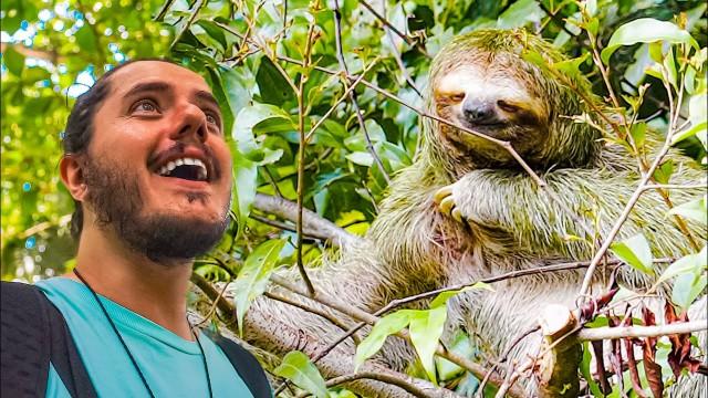 raga... il BRADIPO - sto maleee