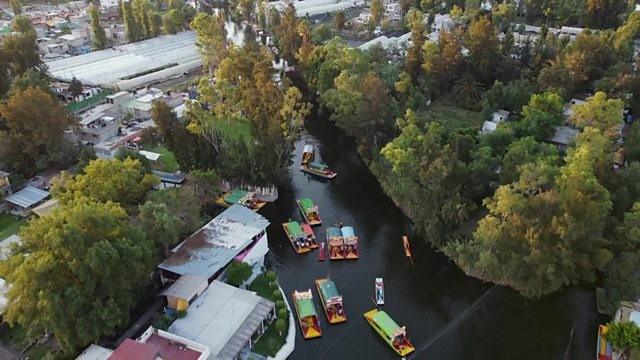 Mexican Green Wave