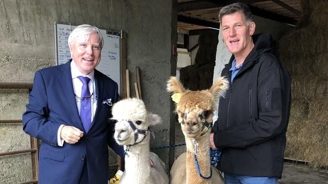 K2 ALPACAS. Newtown Mount Kennedy, Co Wicklow