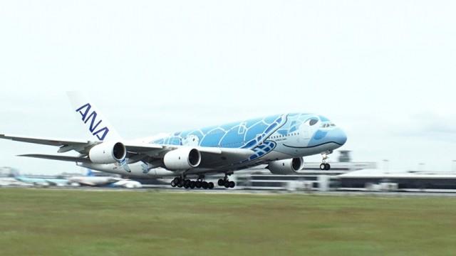 夏休み直前...飛べ！ウミガメ ～ANAハワイ定期便復活の舞台裏～