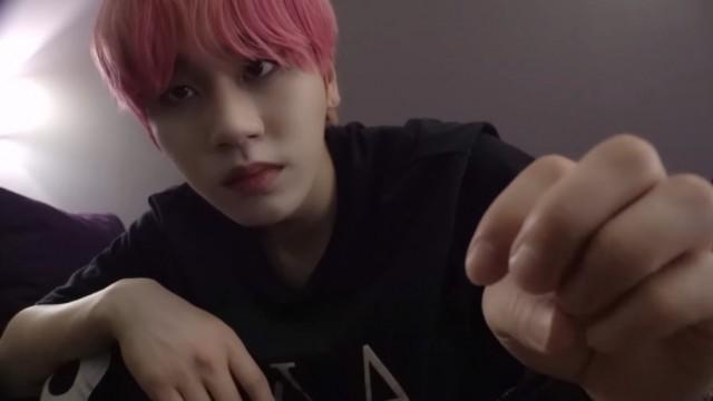 꿈나라???? 갈 준비하는 ????아기고양이들???? 공개합니다