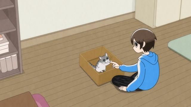 Night 1: The Day a Cat Came to my House