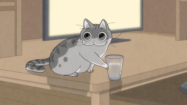 Night 3: A Cat That Tends to Drop Things
