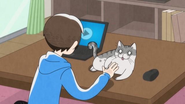 Night 4: Cat Grooming Hurts