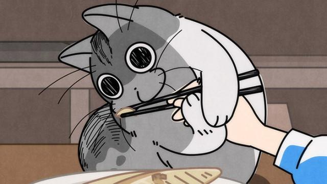 Night 6: A Cat Who Observes Grilled Fish