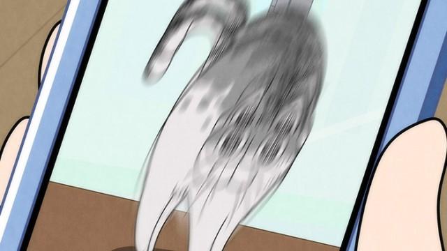 Night 7: Can't Take Good Cat Pics