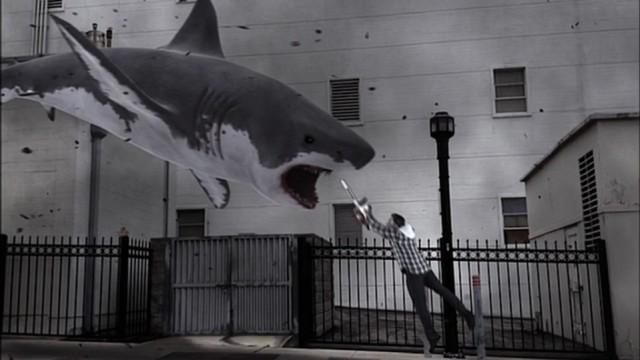 サメ映画!サメブーム!未確認巨大ザメ! 潜入!ディープなサメの世界