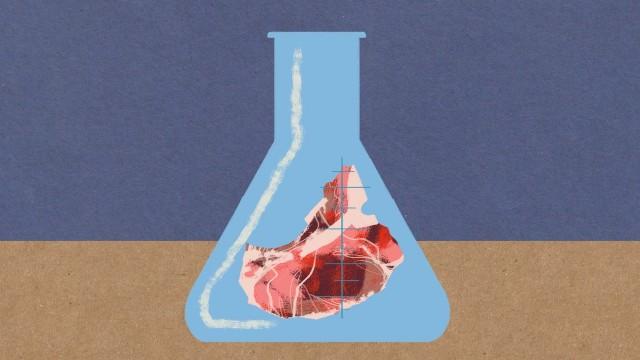 Fleisch aus dem Labor