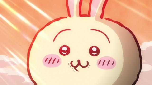 Rabbit's Paw