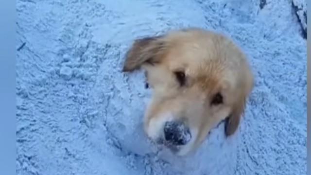 A comunidade viajante