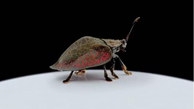 Part One: Small Creatures - Big Lives