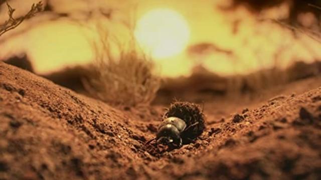 Part Two: The Next Generation