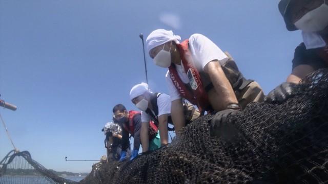 危険!猛毒なヤツらを巨大伝統漁で捕まえろ