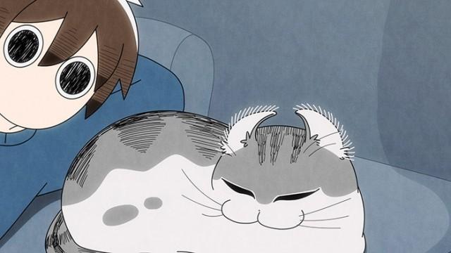Night 13: The Urge to Flip a Cat's Ears Inside Out